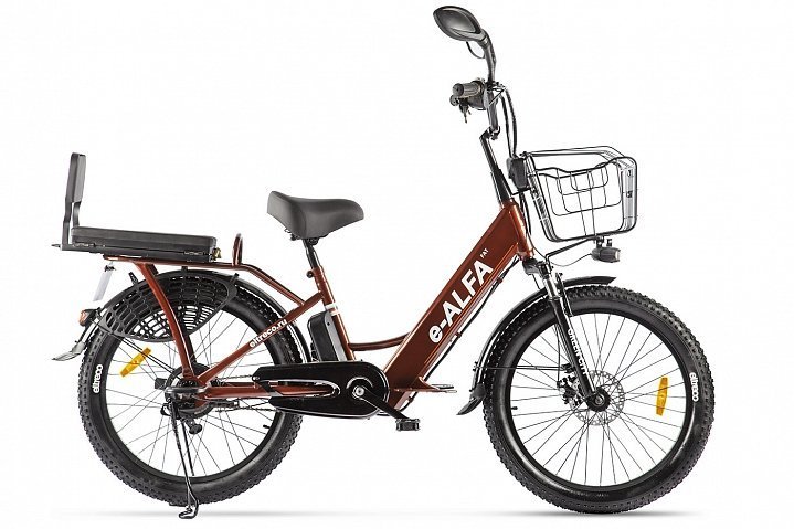 Купить Электровелосипед GREEN CITY e-ALFA Fat 2021