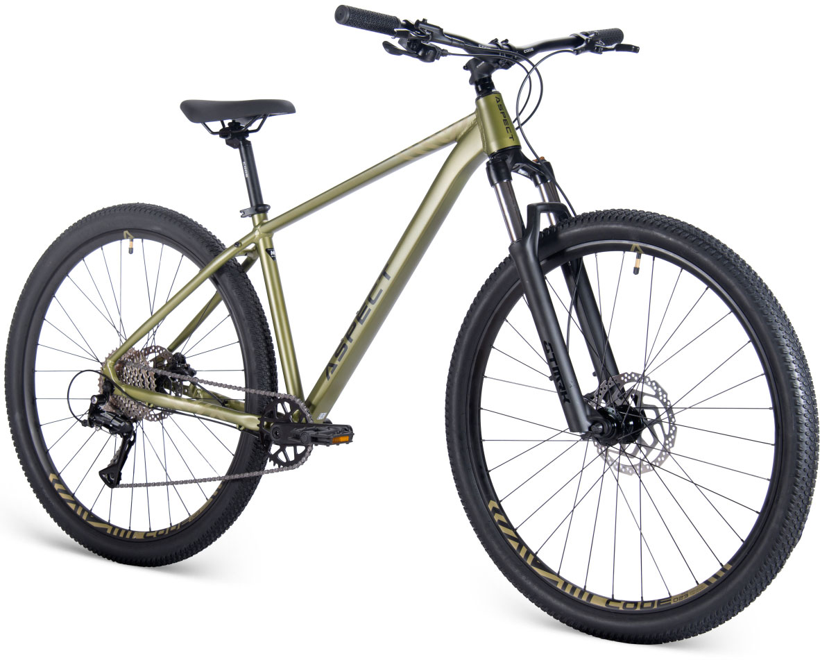 Купить ASPECT Nickel Pro 29 2025