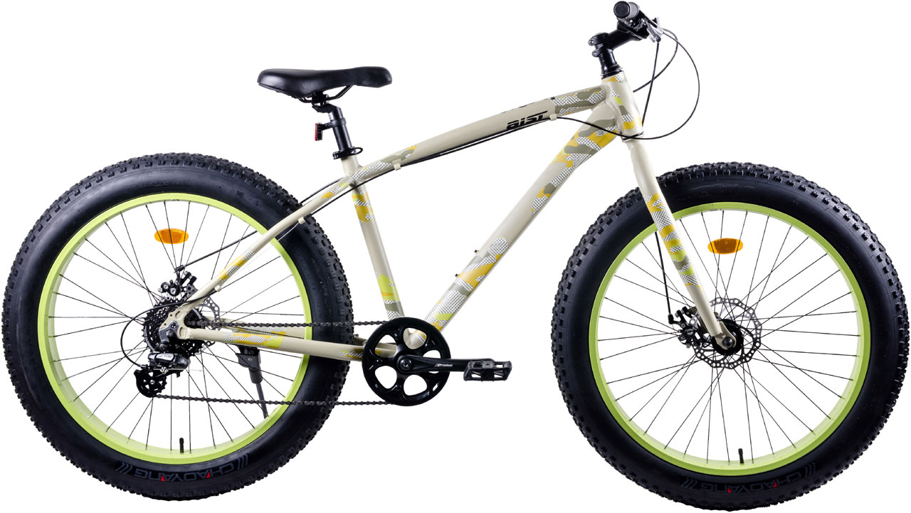 Купить AIST FBS 2021