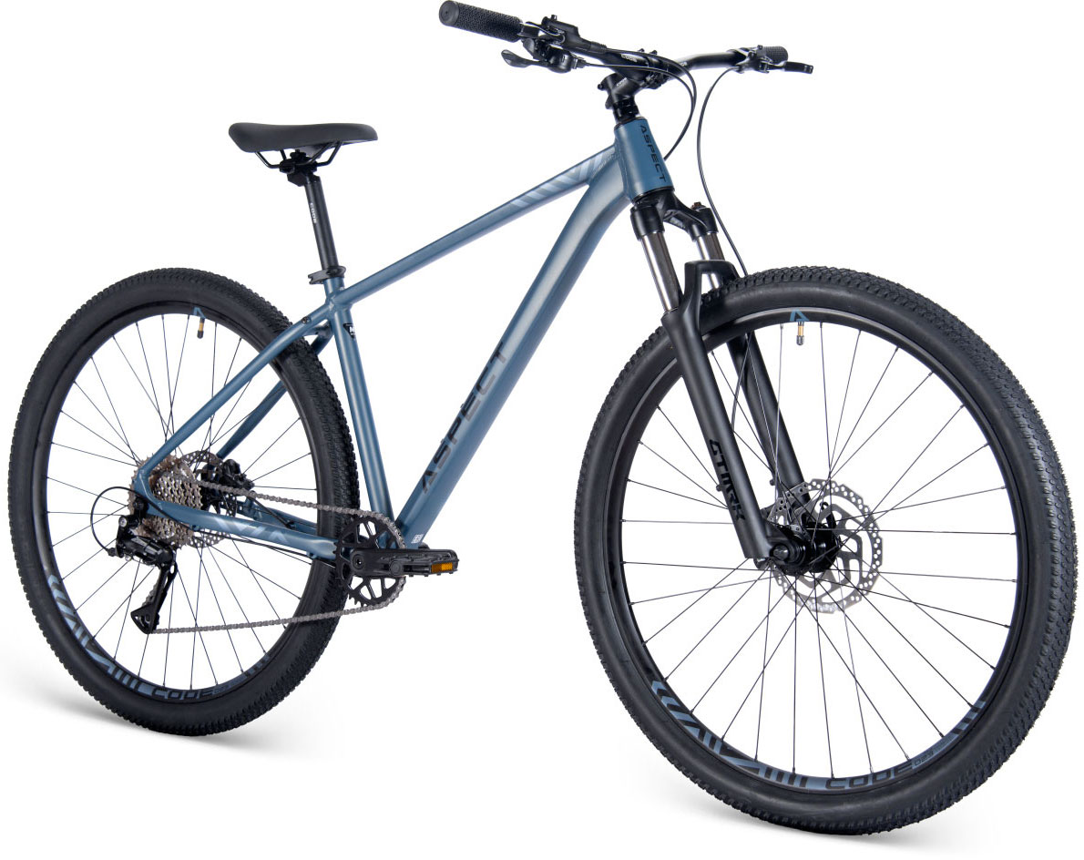 Купить ASPECT Nickel Pro 29 2025