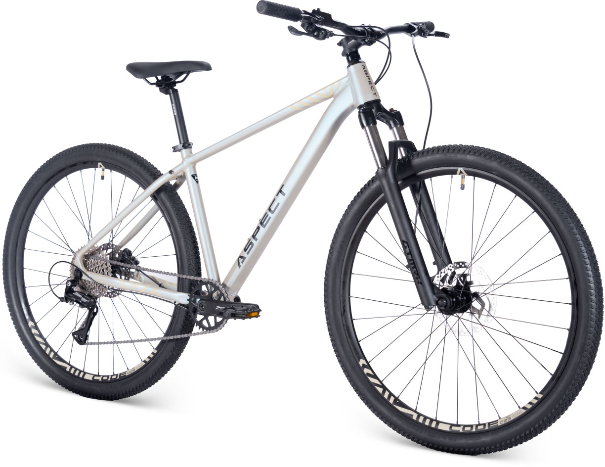 Купить ASPECT Nickel Pro 29 2025