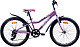 Купить AIST Rosy Junior 1.0 24 2022