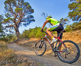 Стили катания MTB