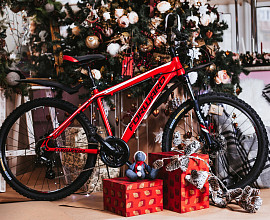 Что подарить на Новый Год?